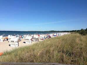 A beach with rows of white lounge chairs, some with visible seat numbers, and a grassy area in the foreground. - Stilvolle Wohnung mit Garten in Kluetz (Klütz)