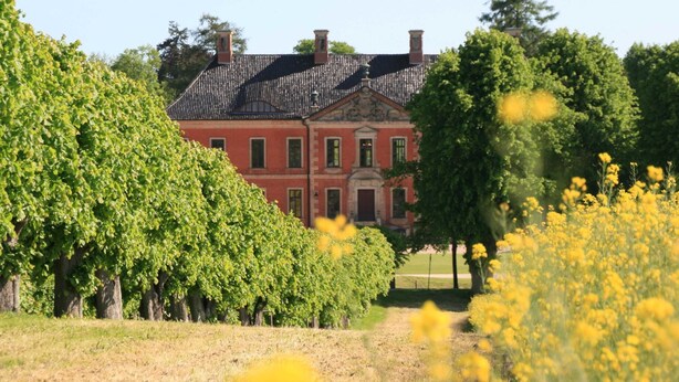 Un edificio grande e rosso con una facciata simmetrica e un tetto in tegole, circondato da rigogliosa vegetazione e fiori gialli.