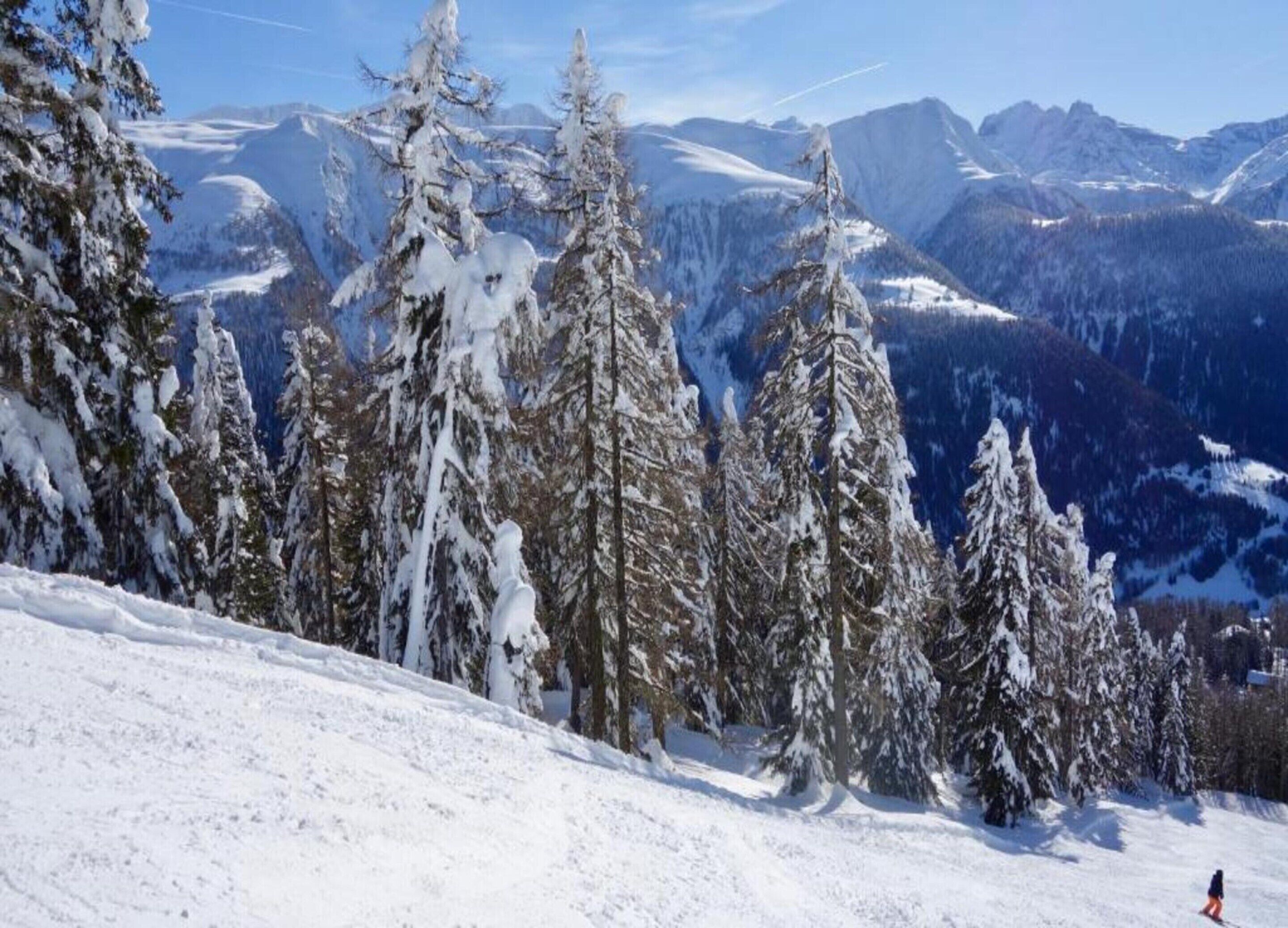 A snowy mountain landscape with evergreen trees and a clear sky.