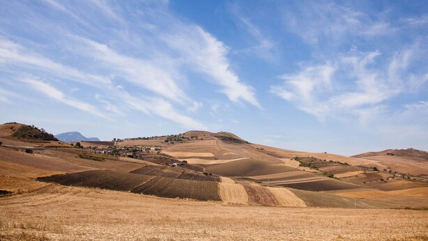 A panoramic view of rolling hills with a clear sky.
