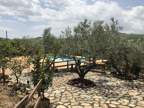 House | Garden