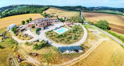 Farmhouse in Tuscany With Pool & Scenic Views