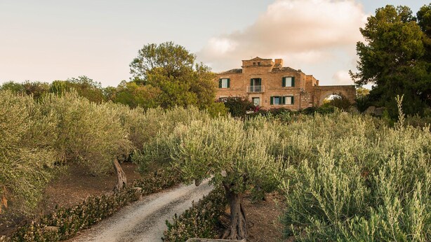 A rural road leading to a stone building with a balcony, surrounded by olive groves. - Villa in Paceco Near Marsala Beaches (Paceco)