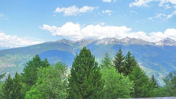 House | Pemandangan dari hartanah