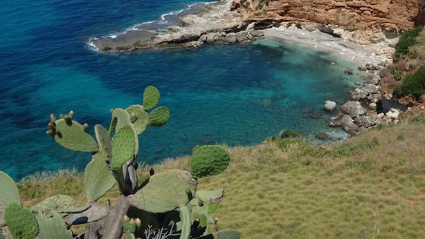Beach - Alluring Villa With Garden, Terrace, Barbecue, Fireplace (Castellammare del Golfo)