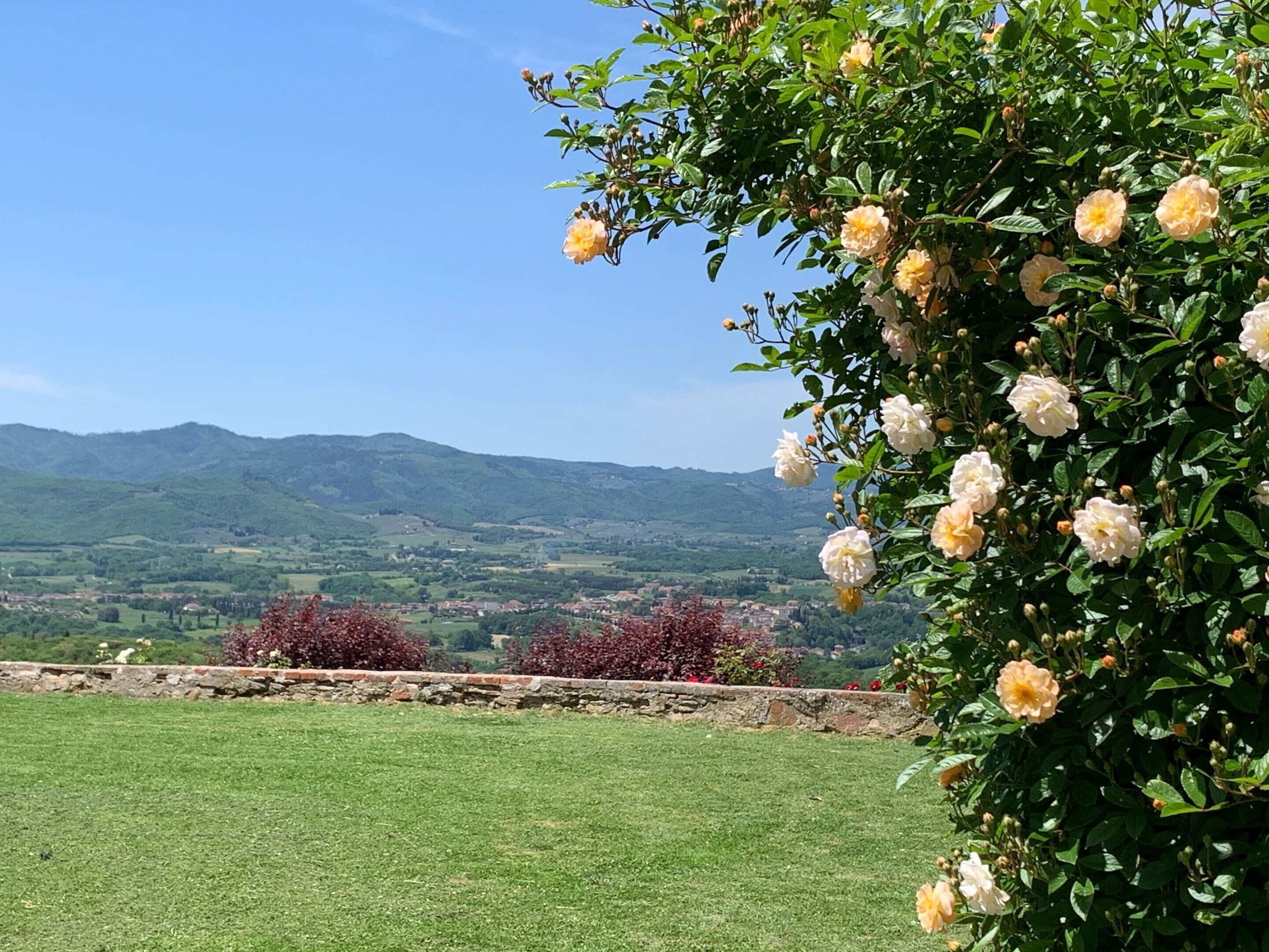 Maison | Vue depuis l’hébergement