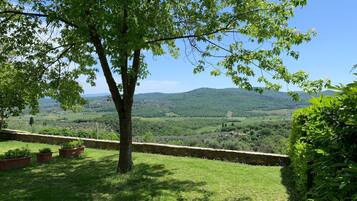 House | View from property