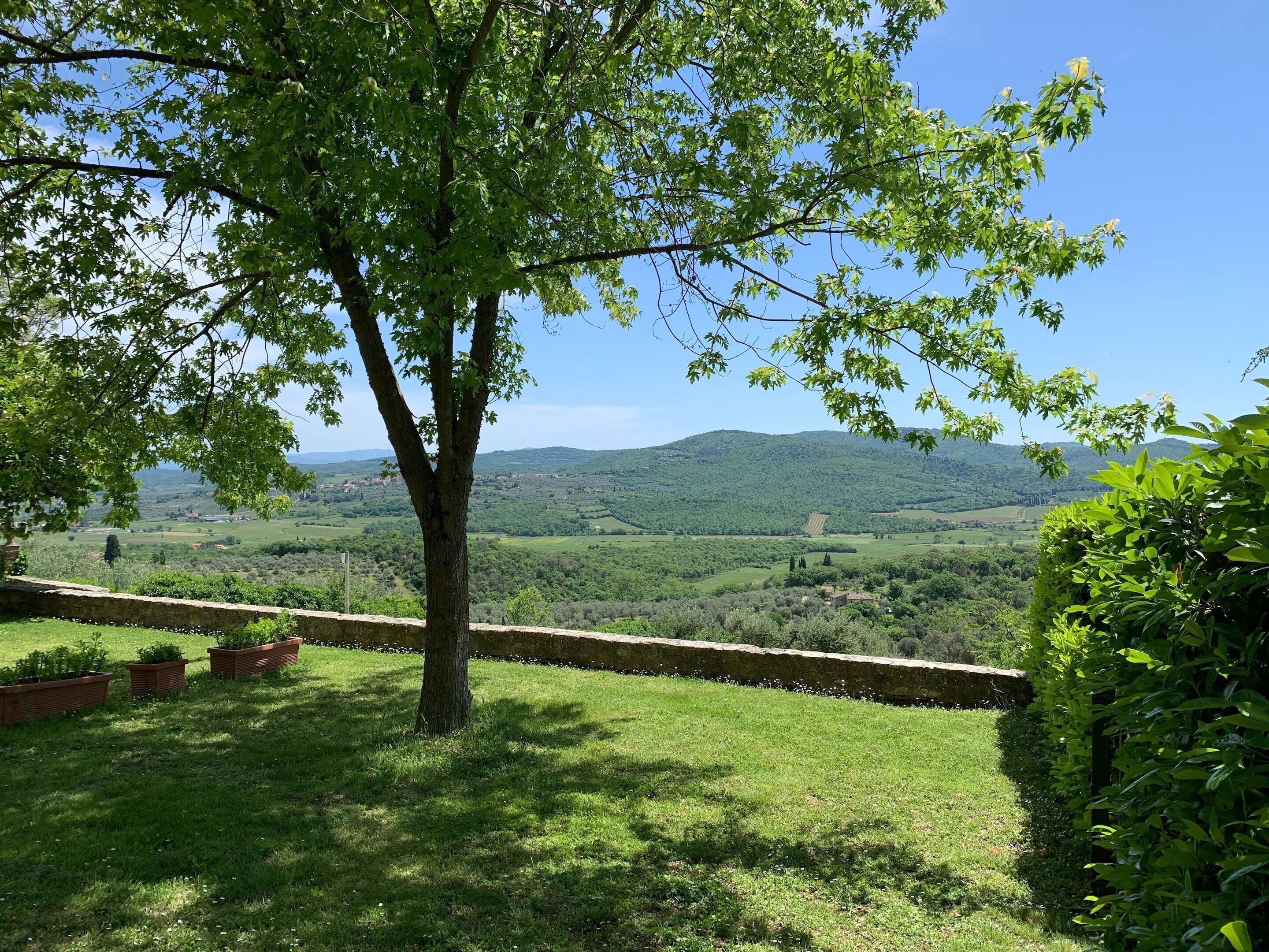 Ferienhaus | Blick von der Unterkunft