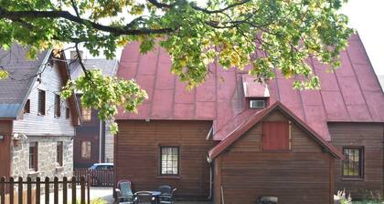 Lavish Holiday Home in Abertamy near Ski Area