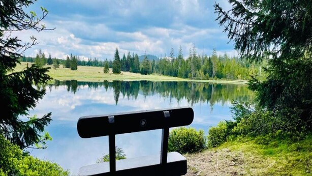 A bench by a calm lake surrounded by trees. - Lavish Holiday Home in Abertamy near Ski Area (Abertamy)
