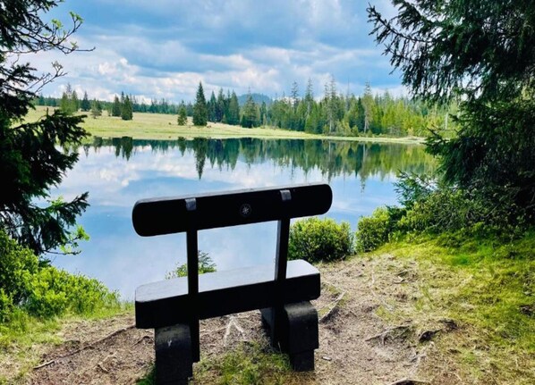 View from property - Lavish Holiday Home in Abertamy near Ski Area (Abertamy)