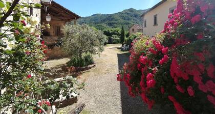 Comfortable Home in San Godenzo near Lake