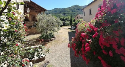Comfortable Home in San Godenzo near Lake