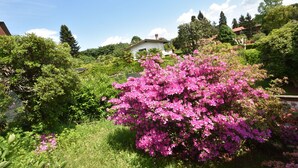 A lush garden with a prominent pink flowering bush in the foreground, surrounded by various green shrubs and trees. - Belvilla by OYO Villino Lucrezia (Meina)