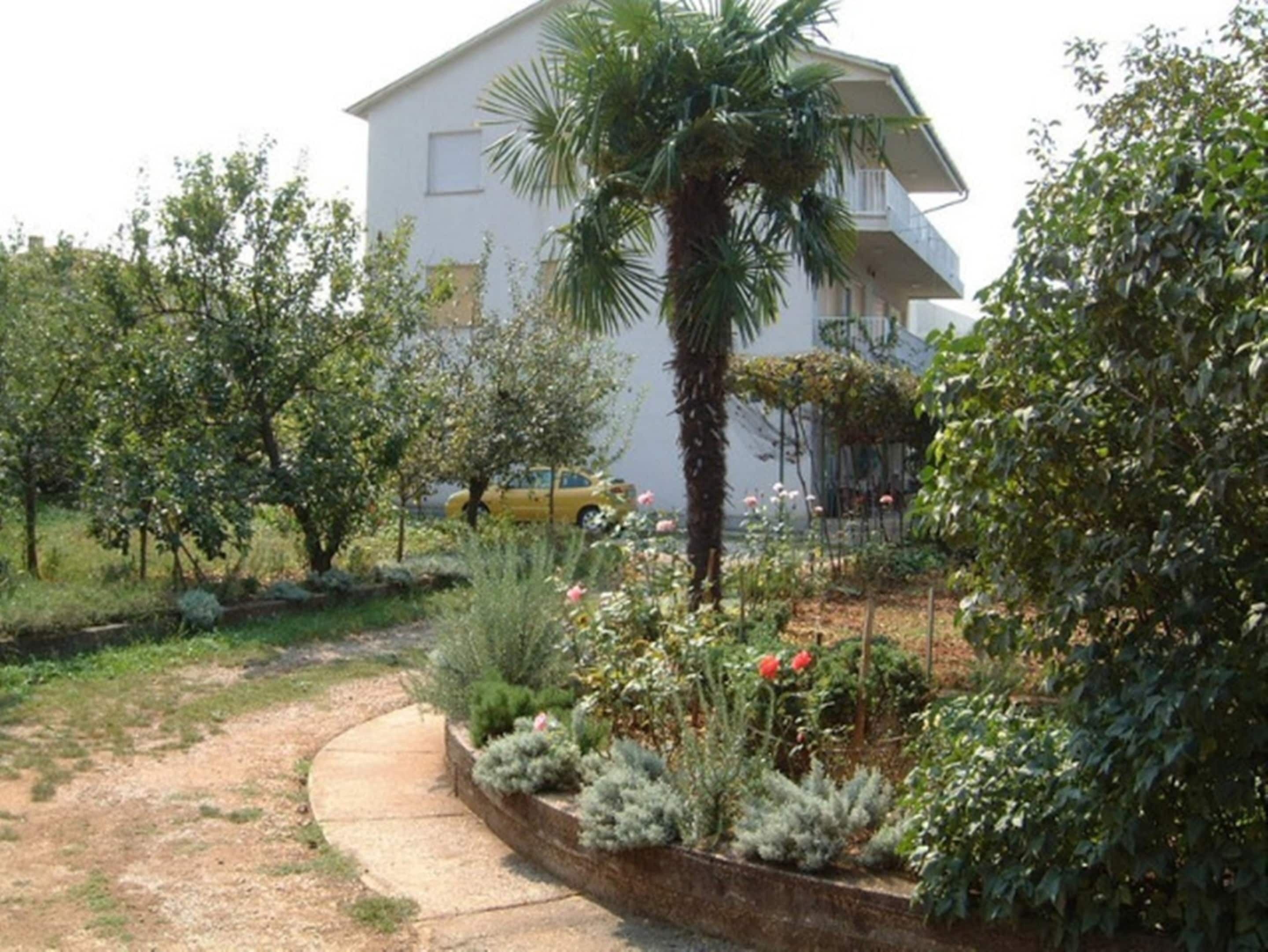 A residential area with a white house, a palm tree, and various plants.