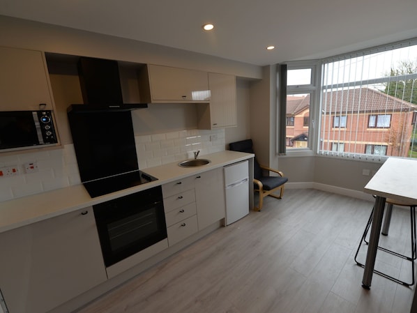 Apartment | Private kitchen | Microwave, oven, stovetop