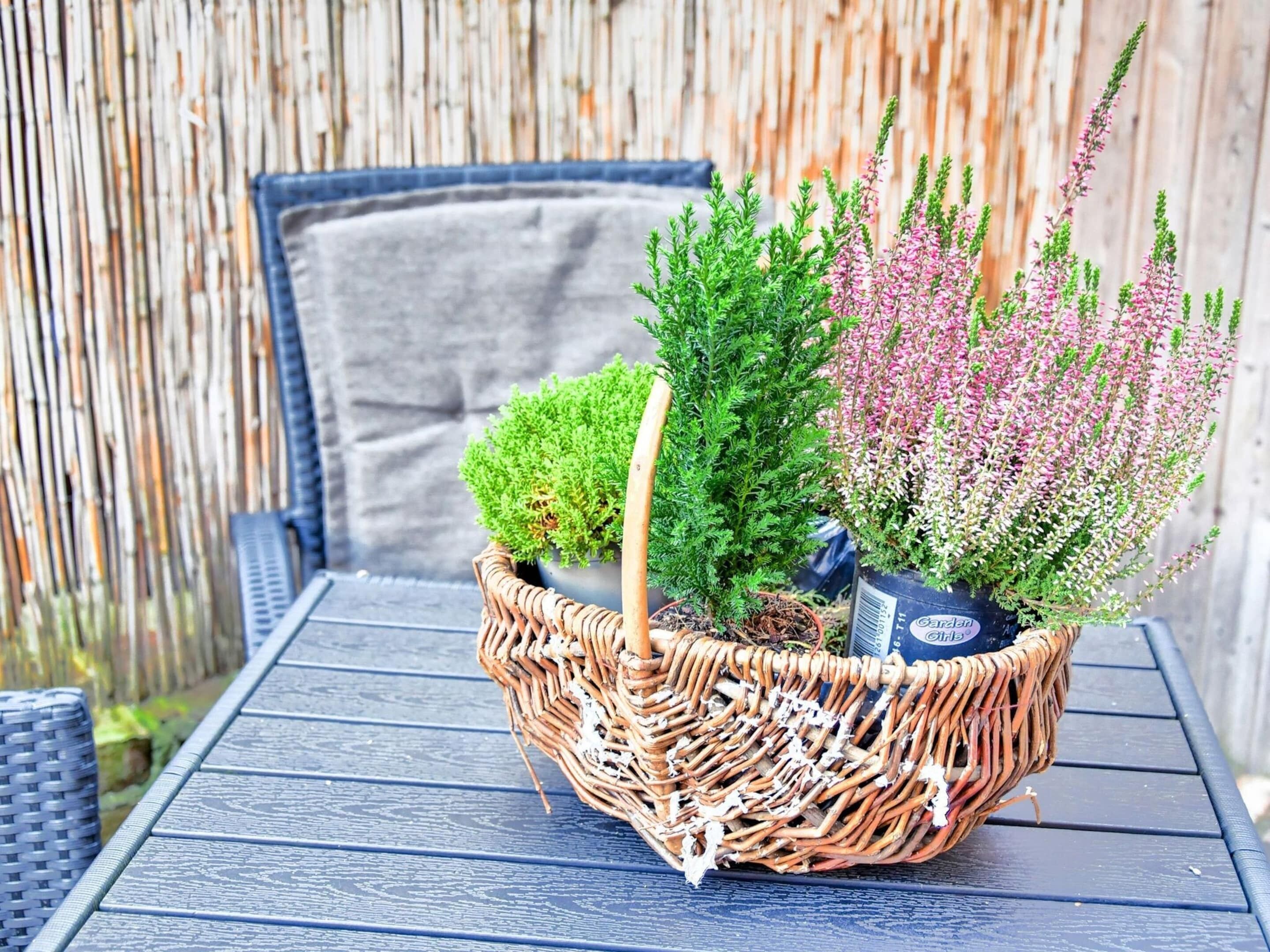 Un panier en osier contenant différentes plantes en pot, posé sur une table.