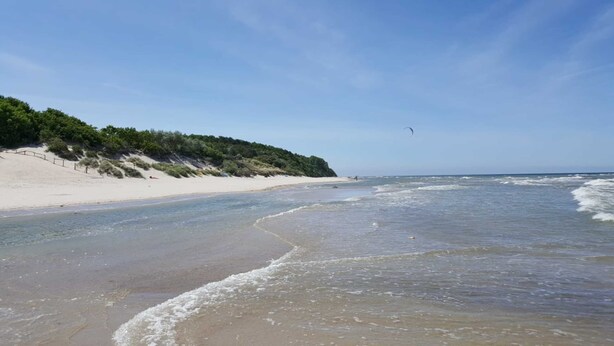 A beach with a sandy shore, gentle waves, and a clear sky. - Wohnung mit Garten in Wieck a. Darss (Wieck auf dem Darss)
