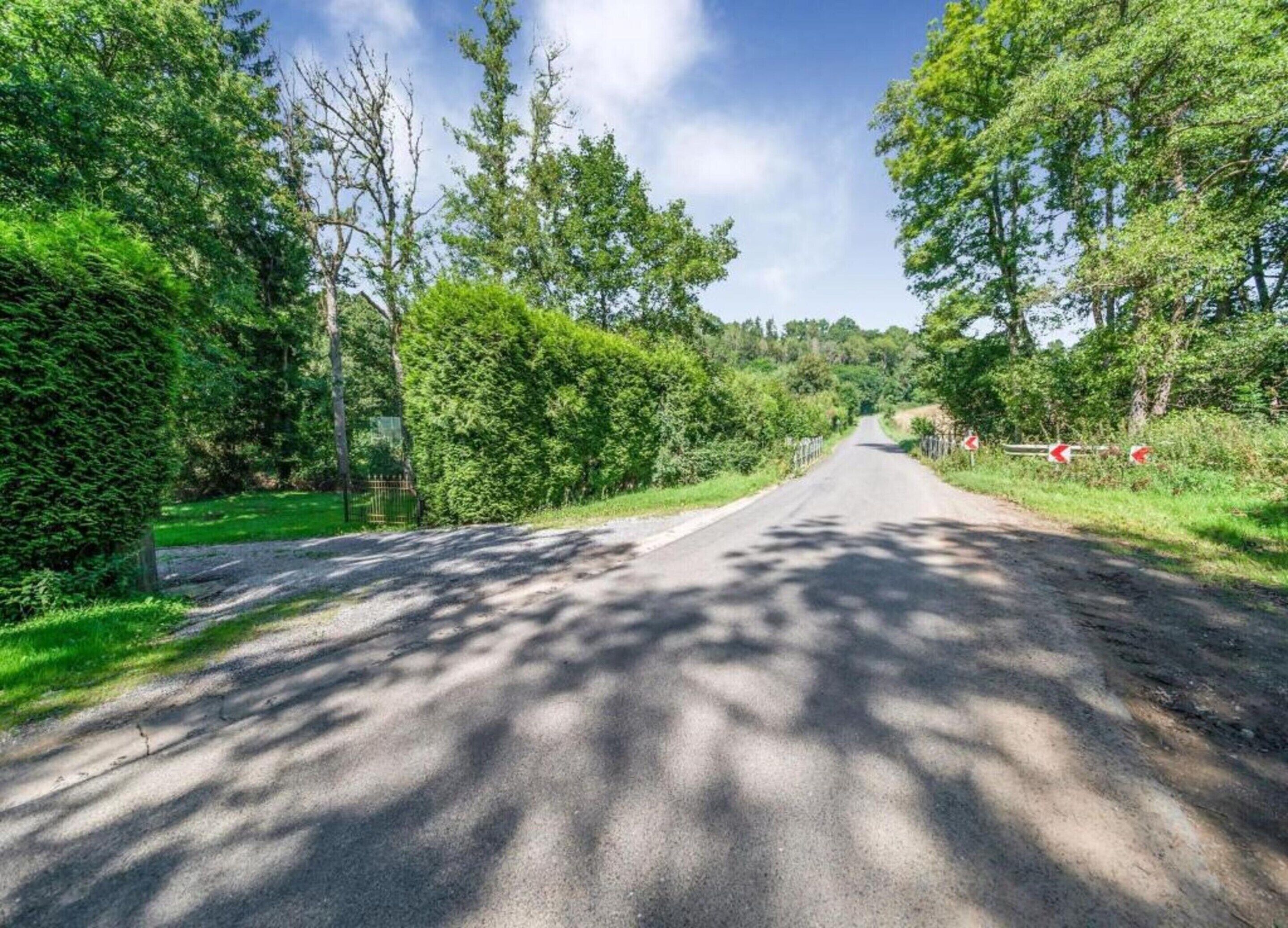 Een landweg wordt begrensd door weelderige begroeiing en bomen, die in de verte verdwijnen.