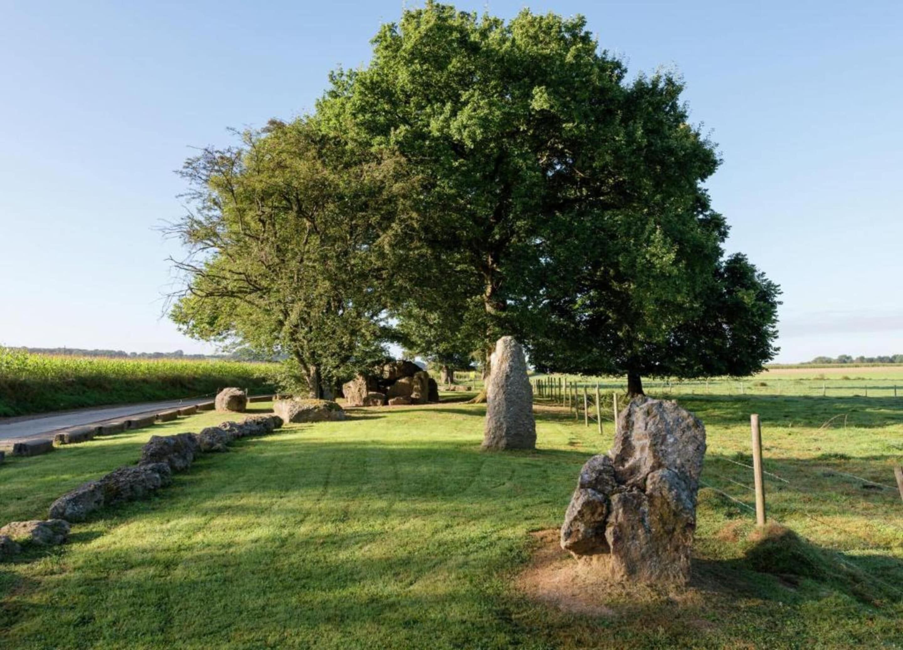 Eine Rasenfläche mit einem großen Baum, Steinbauten und einem Zaun.