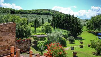 Casa | Vista desde la propiedad