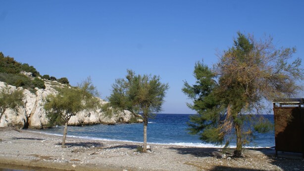 A rocky beach with trees and a clear blue sky. - Holiday Home With Garden in Kritinia (Rhodes)