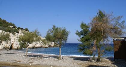 Holiday Home With Garden in Kritinia