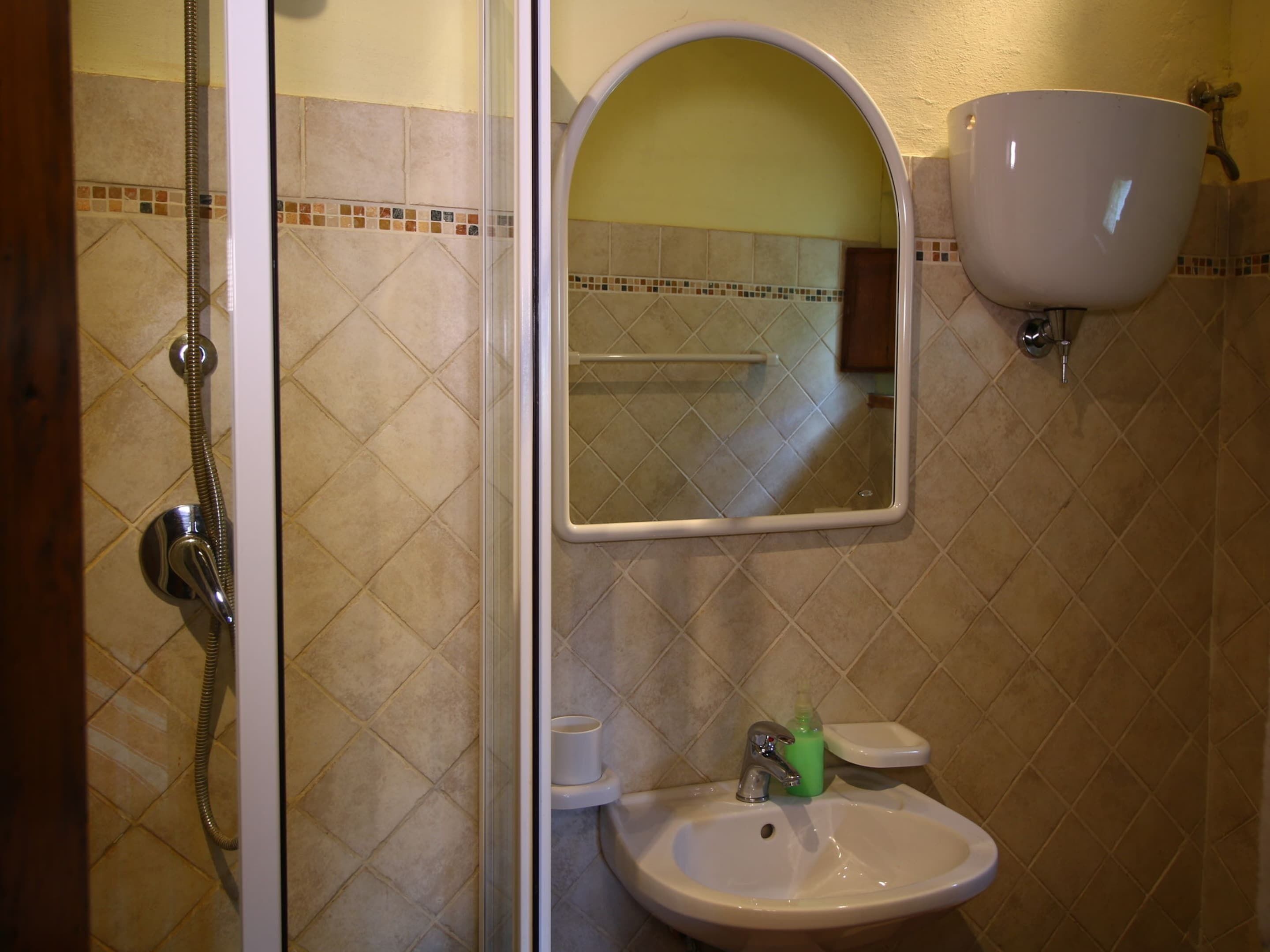 Een badkamer met een douche, een wastafel en een spiegel.