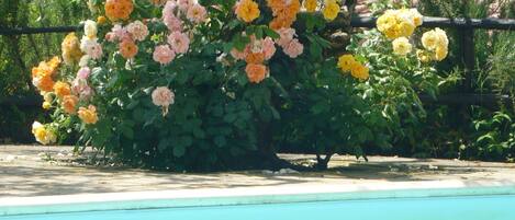 独立别墅 | 内部细节