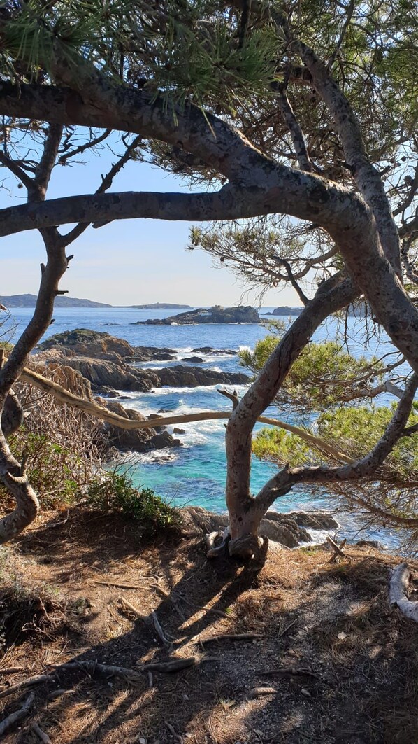 A coastal landscape with rocky terrain and a tree in the foreground. - Quiet villa with a large terrace near the Garonne beach (Le Pradet)