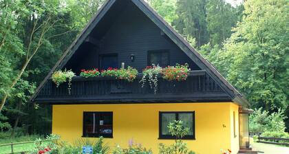 Vibrant Cottage near Ski Area in Steina