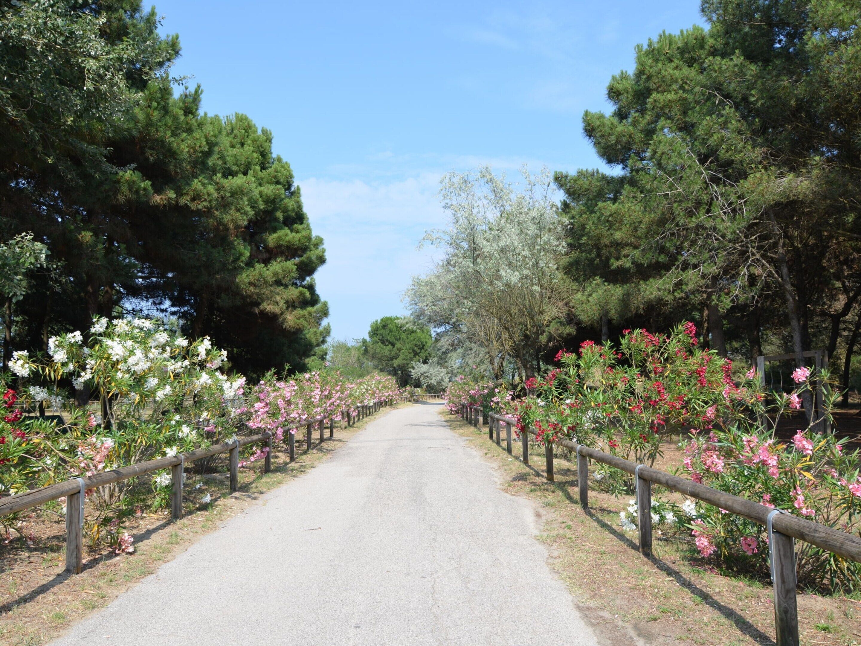 Mobil Karavan | Eksterior