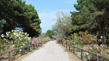 Mobil Karavan | Eksterior