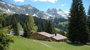 Chalet | Balcony - Stylish Chalet in Achseten Höchst With Terrace (Frutigen)