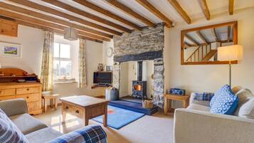 Fireplace, DVD player