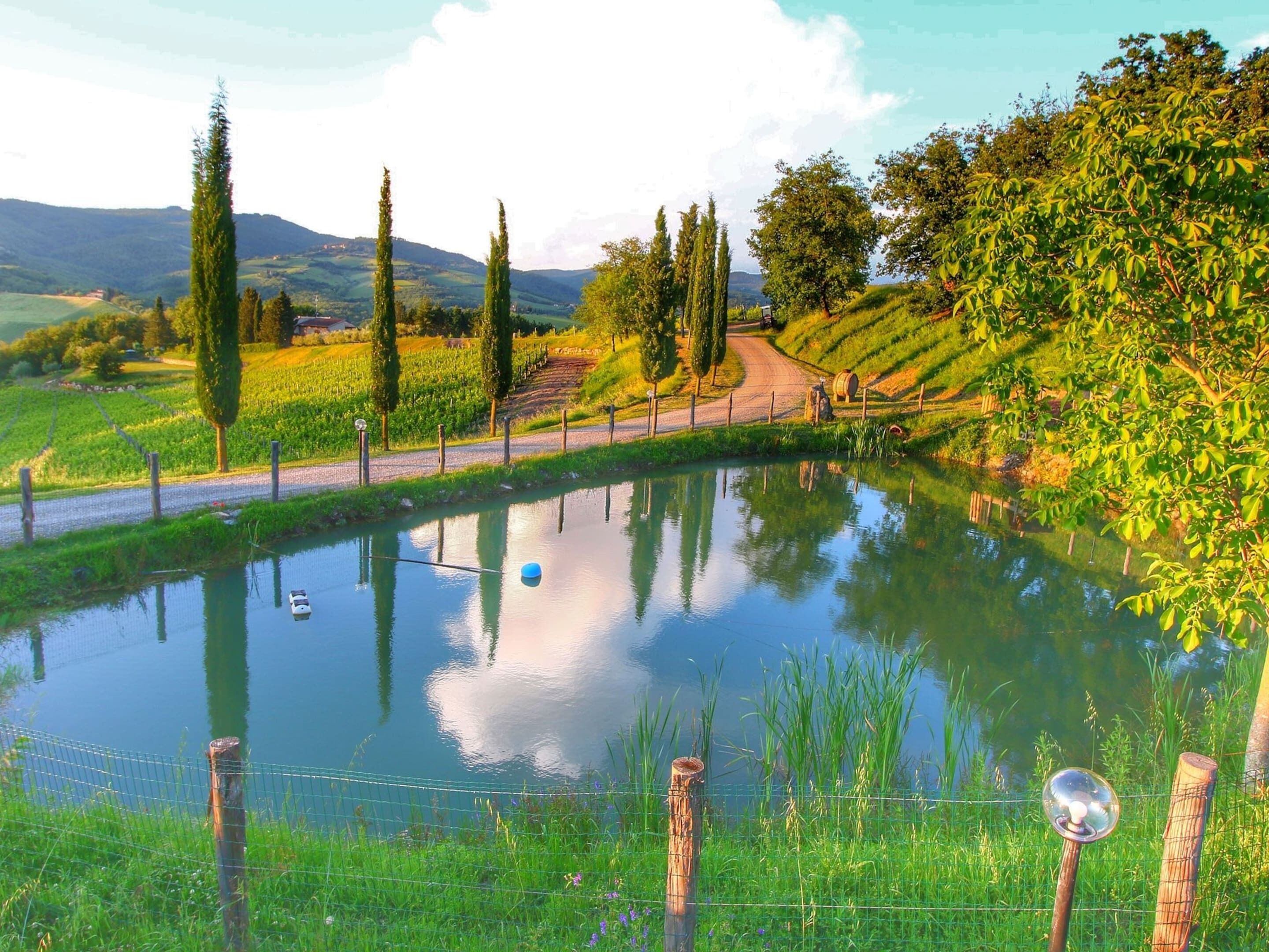 A serene landscape with a pond, a dirt path, and a fence.