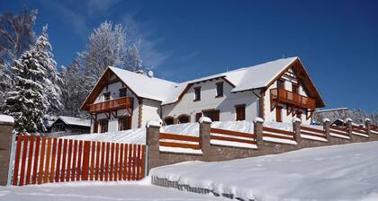 Spacious Villa With Sauna and Garden