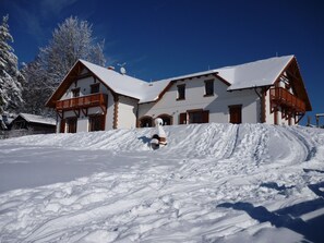 Exterior - Spacious Villa With Sauna and Garden (Lipno nad Vltavou)