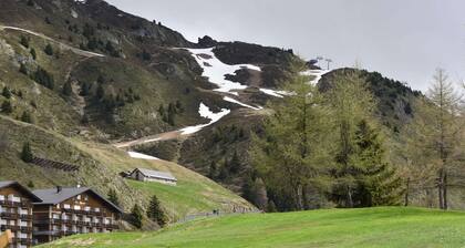 Spacious Apartment in Riederalp near Ski Trail