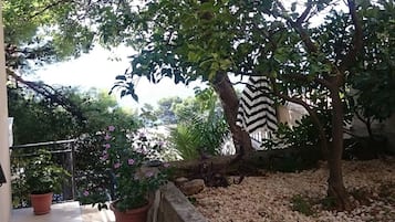 Appartement | Balcon