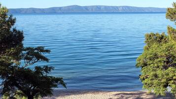 Apartament | Vista des de l'allotjament