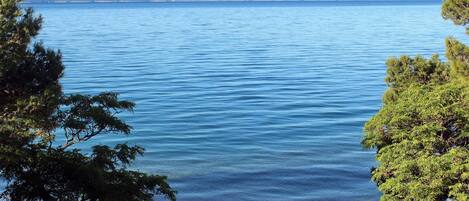 Vista desde la propiedad