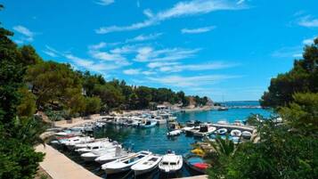 House | Pool | Outdoor pool