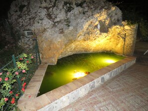 A stone archway with a pool underneath, surrounded by a brick border and a garden with pink flowers. - Bungalow in Maratea With Pool Near Beach (Maratea)