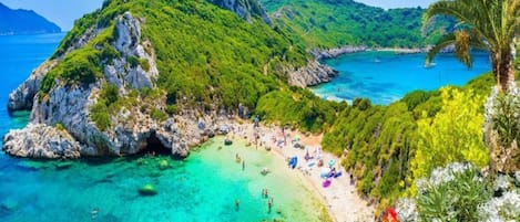 Vista desde la propiedad