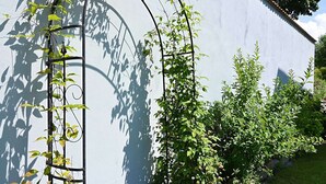 Un jardin avec une plante grimpante sur un treillage, un arbuste aux petites fleurs et un mur blanc.