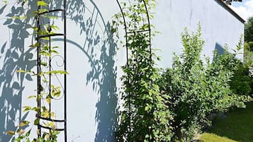 Apartment | Außenbereich