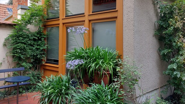 A building with large windows, a brick chimney, and potted plants. - Idyllically located in the center of Coswig (Coswig)
