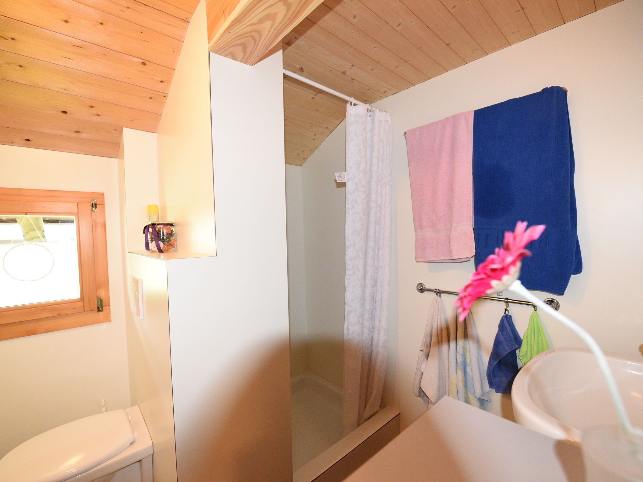 Apartment | Bathroom | Shower, towels