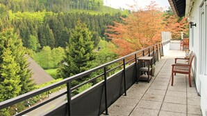 Unclassified image, 2 of 24, button - Mesmerizing Villa in Willingen Germany With Private Garden (Willingen)
